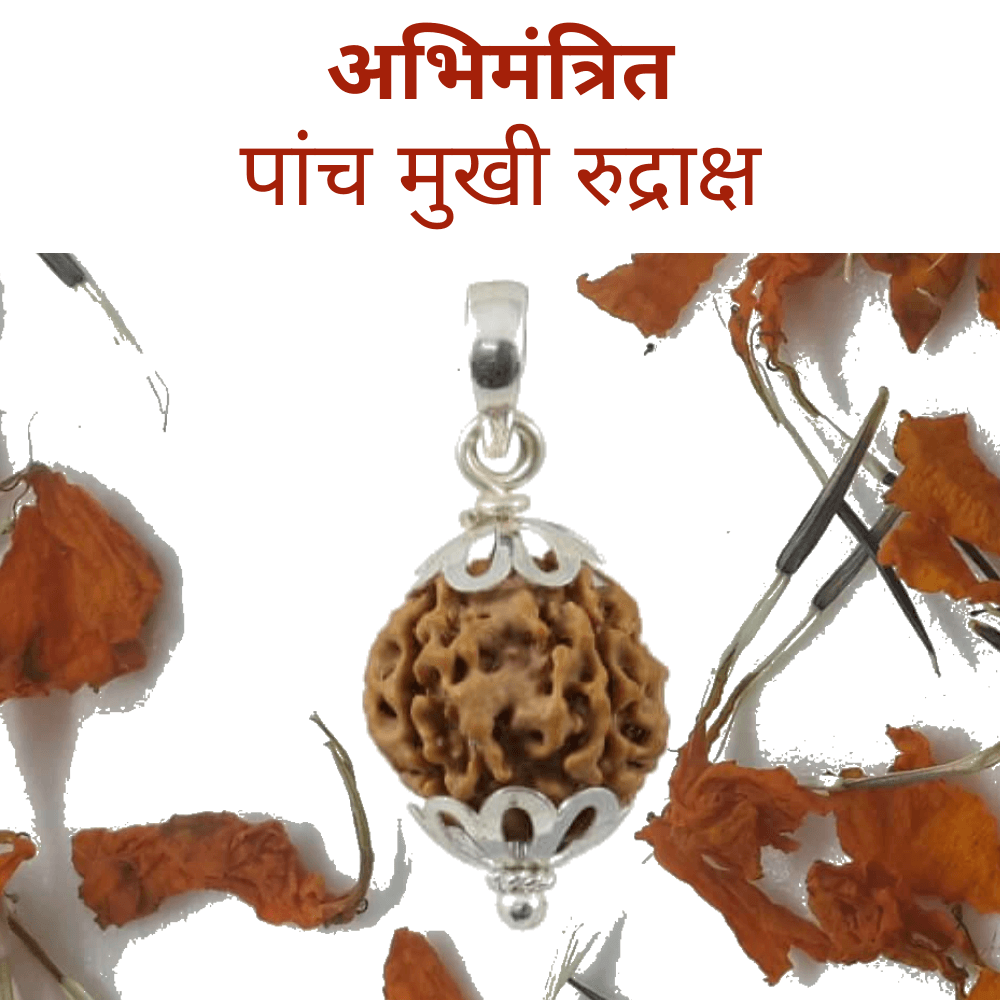 5 Mukhi Rudraksha Pendant (पांच मुखी रुद्राक्ष पेंडेंट)