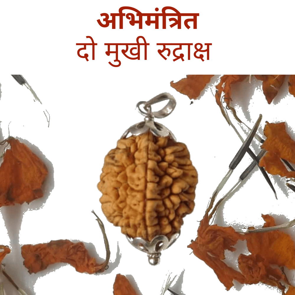 2 Mukhi Rudraksha Pendant