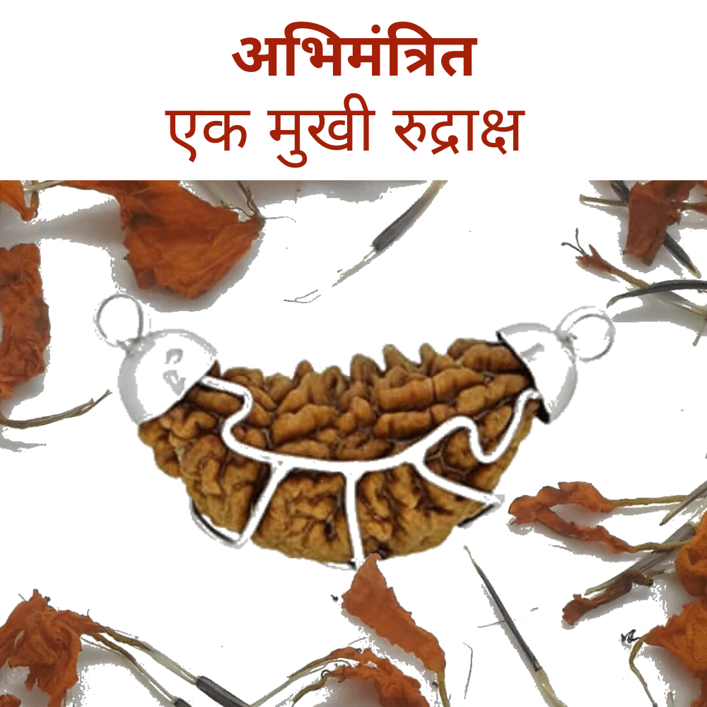 1 Mukhi Rudraksha Pendant (एकमुखी रुद्राक्ष पेंडेंट)