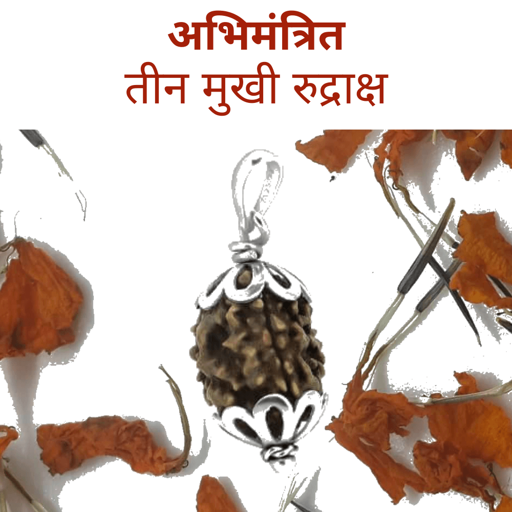 3 Mukhi Rudraksha Pendant (तीन मुखी रुद्राक्ष पेंडेंट)