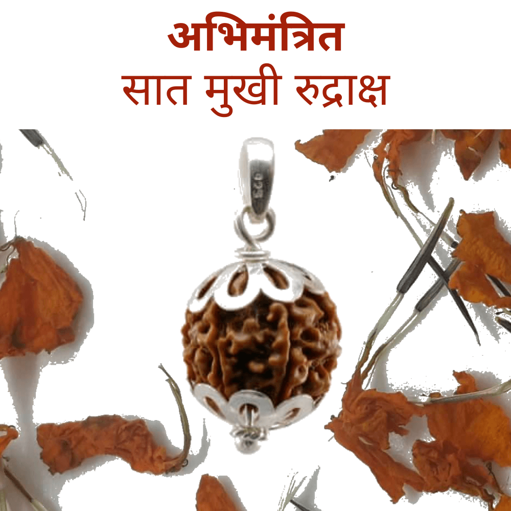 7 Mukhi Rudraksha Pendant (सात मुखी रुद्राक्ष पेंडेंट)