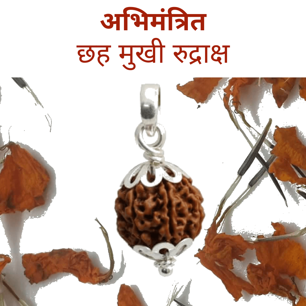 6 Mukhi Rudraksha Pendant (छह मुखी रुद्राक्ष पेंडेंट)